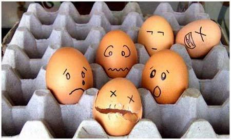 five unhappy eggs